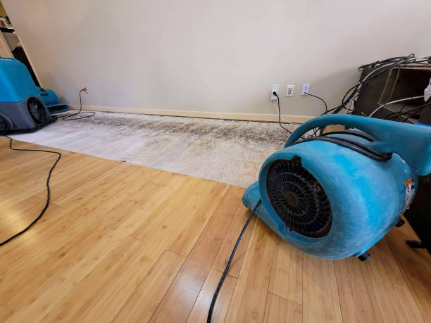 Professional Basement Flood Cleanup technician working in Riverside, NY